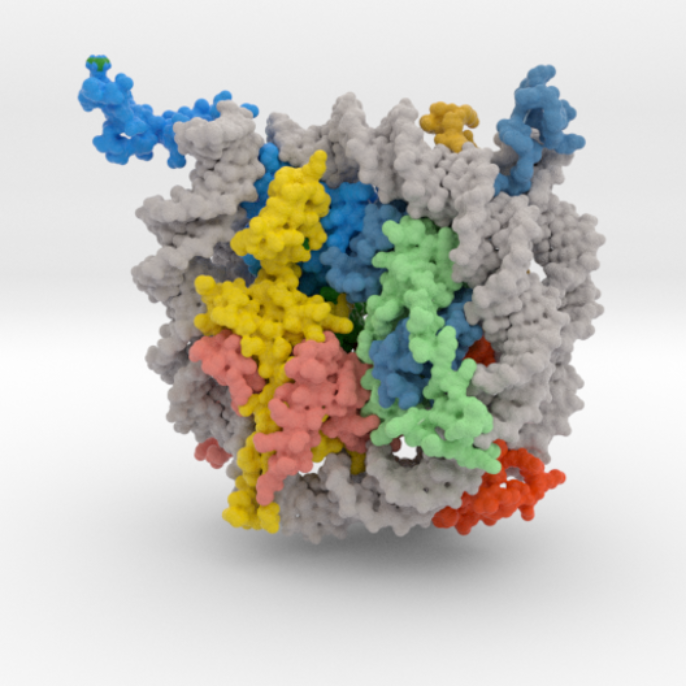 nucleosome_other angle