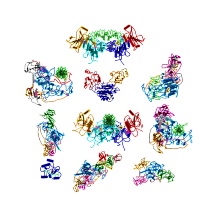 Structures of DNA methyltransferases