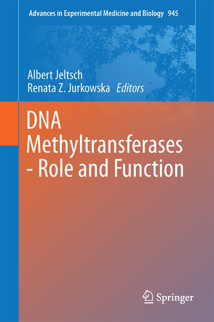 Rolle und Funktion von DNA-Methyltransferasen