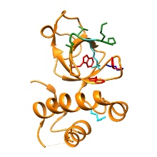 Structure of the DNMT3A PWWP domain
